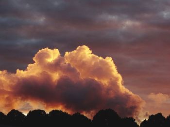 Low angle view of silhouette trees against dramatic sky