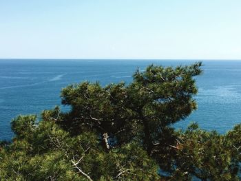 Scenic view of sea against clear sky