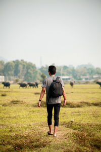 Rear view of man walking on grass