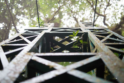 Low angle view of trees