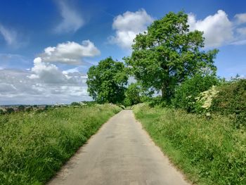 Road amidst agricultural field against sky