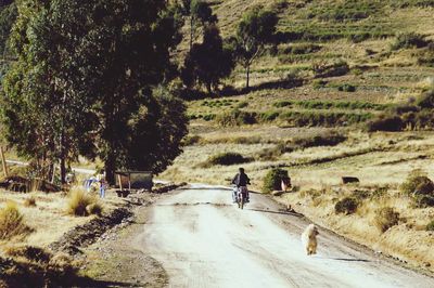 Rear view of man walking on road against sky