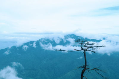 Scenic view of snow covered landscape against sky