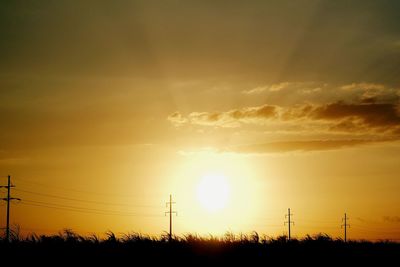 Silhouette trees on field against sky during sunset