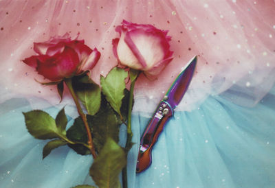 High angle view of pink flowers in plate