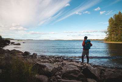 Hiker walks along the beach and watches lake jatkonjarvi at sunset in koli national park, finland.