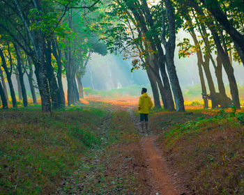 Man walking in forest