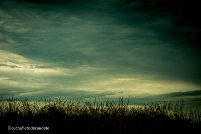 Scenic view of field against sky during sunset