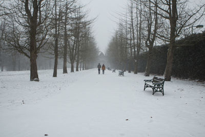 Rear view of person walking on snow covered land