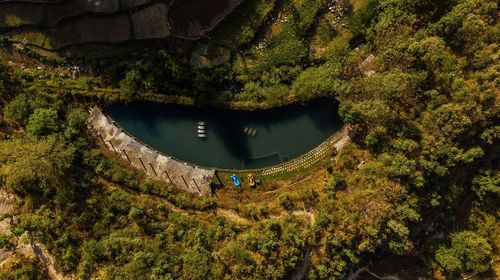High angle view of road amidst trees in forest