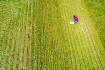 High angle view of person on field