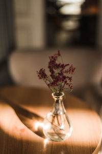 Close-up of hand holding glass vase on table at home