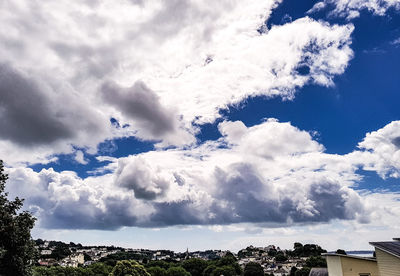 Low angle view of trees against sky