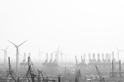 Cranes in foggy weather