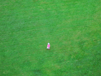 High angle view of girl on grassy field