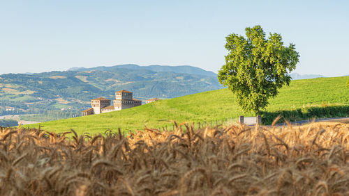 Scenic view of agricultural field and castle against sky