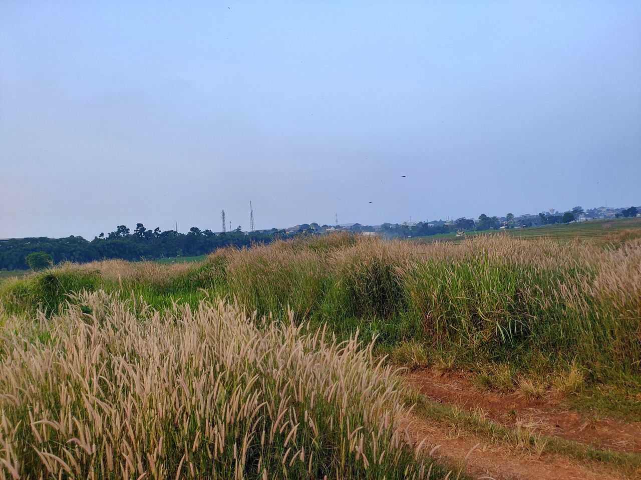 SCENIC VIEW OF LAND AGAINST SKY