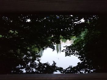 Silhouette trees by lake in forest against sky