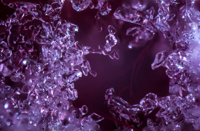 Close-up of water in aquarium