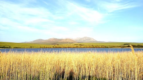 Scenic view of lake against sky