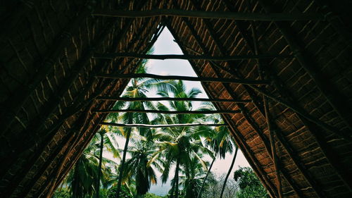 Low angle view of palm trees seen from house