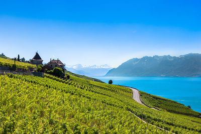 Scenic view of land against blue sky