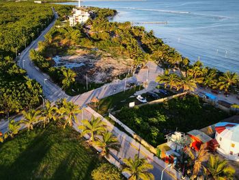 High angle view of trees by sea