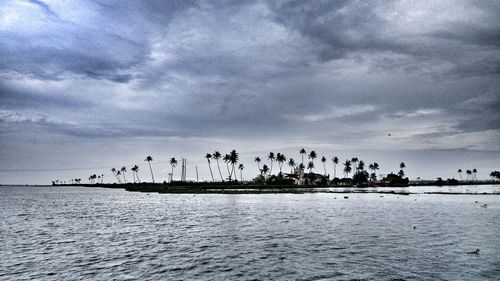 Flock of birds in sea against cloudy sky