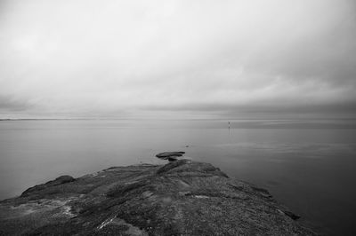 View of bird on rock by sea against sky