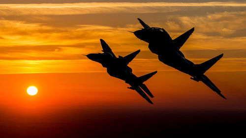 Silhouette of horse against sunset sky