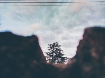 Low angle view of silhouette tree against sky