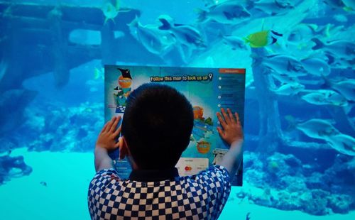 Rear view of fish swimming in aquarium