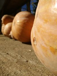 Close-up of pumpkin