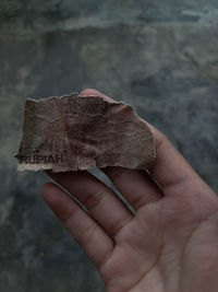 Close-up of hand holding dry leaf