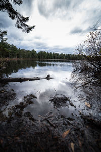 Scenic view of lake in forest against sky