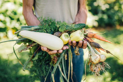 Midsection of man holding root vegetables