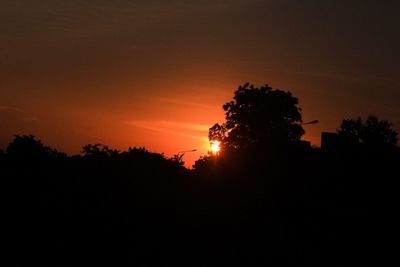 Silhouette trees against sky during sunset