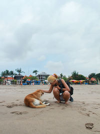 Tourist playing with the dogs at canggu beach, bali, indonesia.