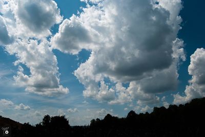 Low angle view of silhouette trees against blue sky