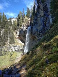 Scenic view of waterfall in forest