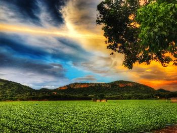 Scenic view of field against sky during sunset