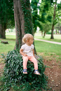 Full length of cute baby girl on tree