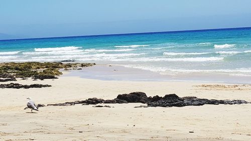 Scenic view of beach against clear sky