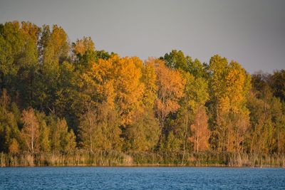 Scenic view of lake in forest against clear sky