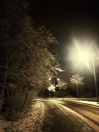 Road along trees at night