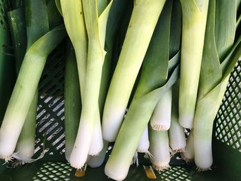 Directly above shot of leeks in container