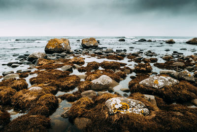Rocks on beach against sky