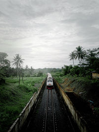 Rear view of man walking on footbridge