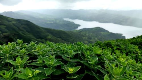 Scenic view of mountains against sky