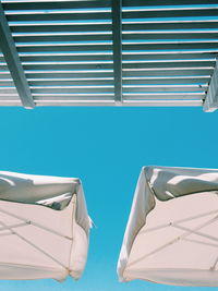 Low angle view of tree against blue sky